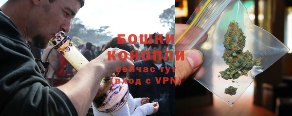 шишки Балабаново