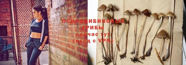 шишки Балабаново