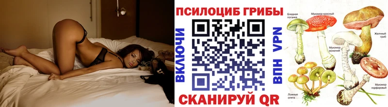 Купить  Сатка  Галлюциногенные грибы Psilocybe 